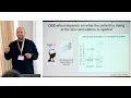 Julian Neumann Invasive Neurophysiology and Connectomics for Neural Decoding from Brain Implants