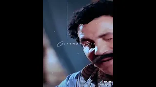 عادل إمام  دلئو الخمرة من عماهم قالو الخير جاهم   دندنها