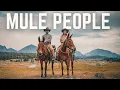 America s Most Influential Mule Trainers Behind The Scenes Interview