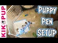 Puppy Pen Set Up - Professional Dog Training