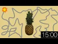 15 Minute Timer - Pineapple Explosion