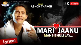Mari Jaanu Mane Bhuli jay l Ashok thakor l Lyrical Song