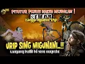 Download Lagu MERINDING! PITUTUR JAWA LURAH SEMAR KANGGO NGLAKONI URIP // WAYANG KULIT KI DALANG SENO NUGROHO