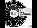 Introducing The Analogs