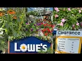 LOWES BEST NEW PLANTS-ARRIVALS FOR SUMMER FALL HOW TO MAKE YOUR GARDEN BEAUTIFUL