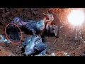 Download Lagu A Big Mouse Turns Feeding Time Into a Fight in the Nest