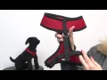 Casual Canine Mesh Harness - Red