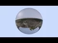 Denis The Night \u0026 The Panic Party - You Could Be My Home (Directed by Enzo Lauria)
