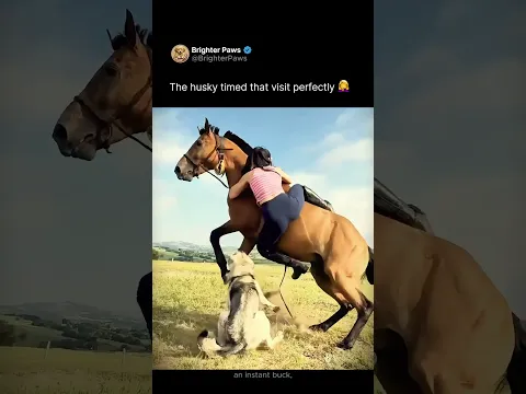 The dog timed that visit perfectly