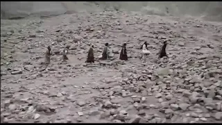 أب يهون وسط الضيق فتح ليا ألف طريق قلبى فى قلبه صورتى فى كفه حافظ عهده أغلى صديق 