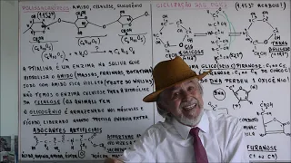 Aula 481 – Polissacarídeo Amido, Celulose e Glicogênio com Ptialina e Adoçantes