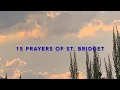 15 Prayers of St Bridget 1 Year Devotion