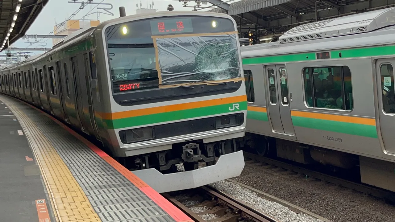 E231系1000番台K-38編成10両E233系3000番台E-73編成5両臨時回送列車赤羽発車シーン