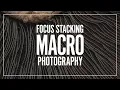 Introduction to Focus Stacking using Helicon Focus
