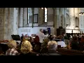 Ravel "Pavane pour une infante défunte” (Pavane for a Dead Princess) by TLO