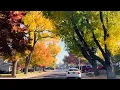 Stockton California in the Fall Season Asian Supermarket Shopping
