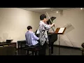 Pikmin Strawberry Flower Tane no uta Piano Ohbu Ryosuke Violin Tsubaki Taiyo ピクミン 種のうた ピアノ ヴァイオリン