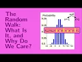 Lesson 9 The Random Walk What Is It and Why Do We Care