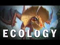 Download Lagu The Ear Birds | Monster Hunter Ecology