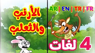 الأرنب والثعلب باللغات الأربع   العربية   الإنجليزية   التركية   الفرنسية     طيور بيبي            دندنها