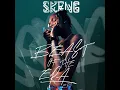 Eedeatt (Idiot) - Skeng