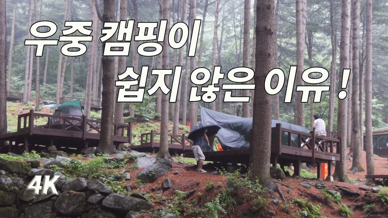 다큐. 겁 없는부부. 폭우 천둥 번개속 X고생도 받아 들이면 즐거움이 된다.청태산 자연휴양림. 구라청. 야영장. 우중 캠핑 サムネイル