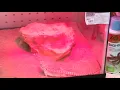 Me at Petsense
