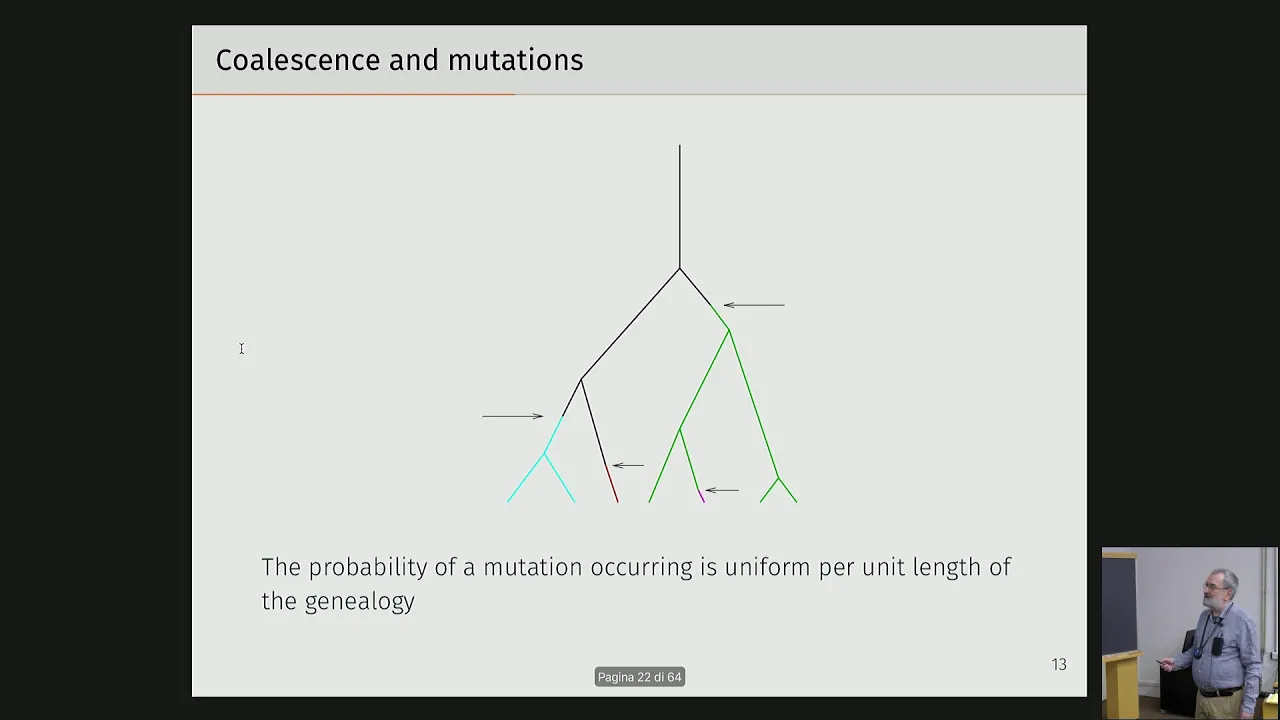 Population genetics and evolution (4 of 4)