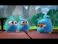 Angry Birds Blues | The Cutest Weapon - S1 Ep12