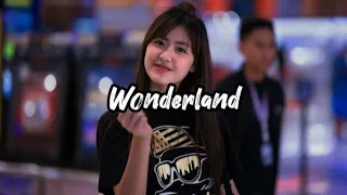 Download Axel Johansson - WONDERLAND [Nick Project] Remix | (Slowed + Reverb) - Lyrics MP3