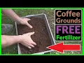 Lagu How to use Coffee Grounds as a FREE Fertilizer for your Plants