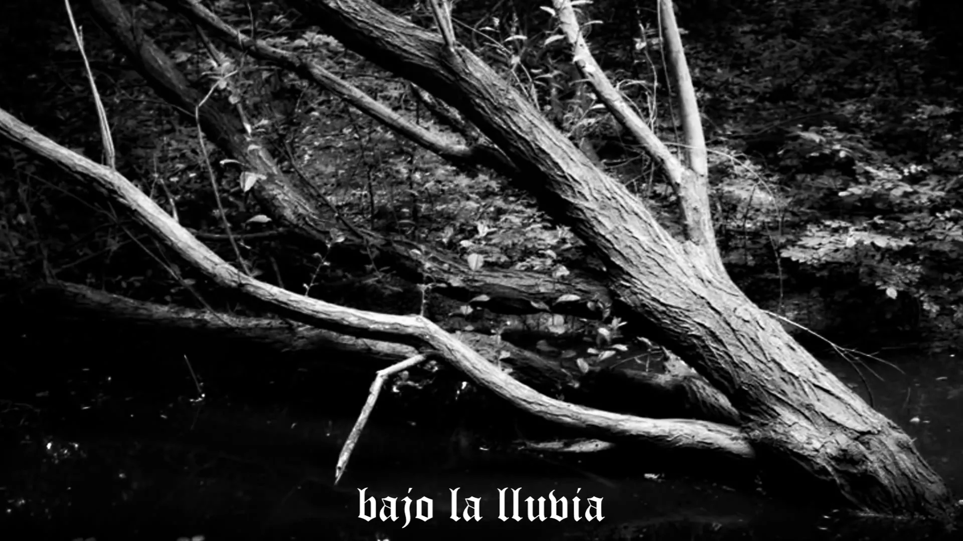 Uaral - Depression (subtitulado)