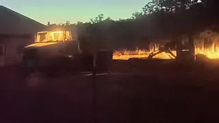                                                                                       دندنها