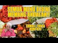 Lagu SEMUA MENU DISINI MEMANG ANDALAN!! AYAM GORENG \u0026 IGA BAKAR ANDALAN!!