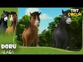 Doru | Alaca | 1.Bölüm