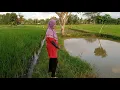 Download Lagu 🎸 tunggal ogan serumpun judul ading ye sare dik kanmitak voucal umar alli di belitang