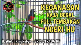 murai batu gacor full isian tembakan mengerikan mb raja begal h abdul kingrobyn eric strada bf