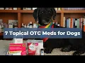 7 Topical OTC Medications for Common Dog Health Problems Allergies Ear Infections Eye Infections