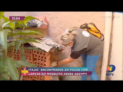 Encontrados 231 focos com larva do mosquito da dengue em Itajaí