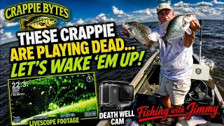 These Crappie Are Playing Dead Let s Wake Em Up