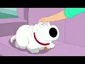 Family Guy - Cat Brian