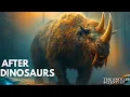The Forgotten Age After The Dinosaurs The Cenozoic