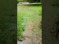 Woman shows flooding around West Virginia property