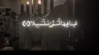 عينه فيها تسمى سلسبيلا 2025 افضل صوت تلاوة خاشعة للقارئ محمد اللحيدان سورة الانسان 