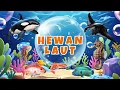 Download Lagu Belajar Mengenal Hewan Laut untuk Anak-anak | Edukasi Hewan Laut TK \u0026 PAUD
