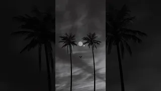 قلا يا هوى ضحكاتا دواء Use Headphones حالات واتساب ستوريات حب 