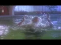 Oru Poonga Vanam - Video Song | ஒரு பூங்காவனம் | Agni Natchathiram | Prabhu| Amala| Ilaiyaraaja