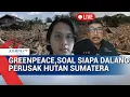 Greenpeace soal Siapa Dalang di balik Perusak Hutan Sumatera