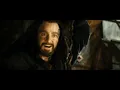 WIND ROSE - We Were Warriors | Thorin Oakenshield & Company