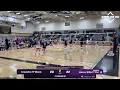 Havoc Elite 17 Pur vs Crossfire 17-Black 2026 02 14
